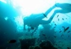 A new dive site in Di Tamerah
