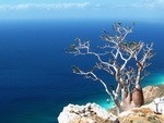 New trekking route in Socotra - On the edge of the lost world