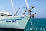 More and more sailing boats make a stop on Socotra