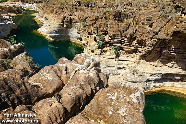 Socotra Picture of the Day: The largest fresh-water pool on Socotra
