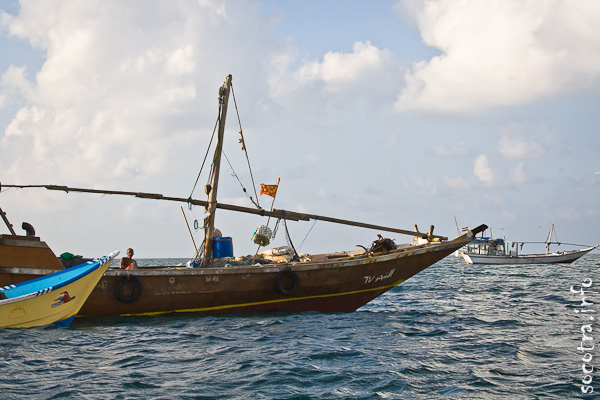 Socotra Picture of the Day: Fishing boats in the bay Shuab