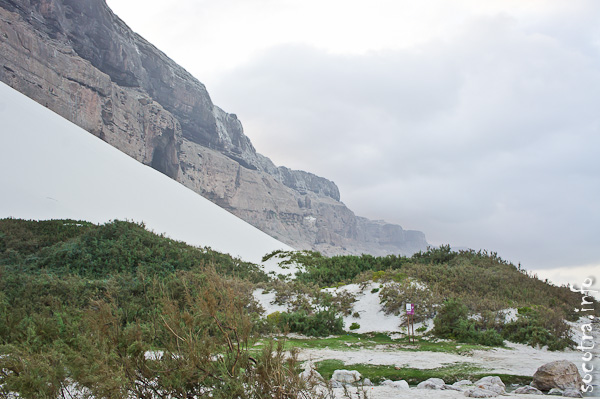 Socotra Picture of the Day: Beach at Archer