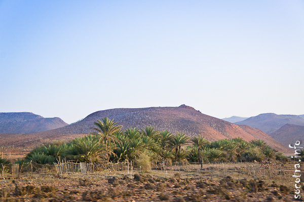 Socotra Picture of the Day: somewhere in the middle of the island