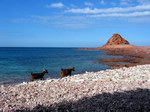 Di Hamri Marine Conservation Area