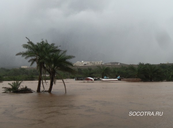 Cyclone Megh on Socotra island