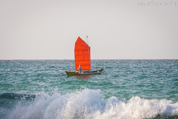 Junk rig sail on Socotra island