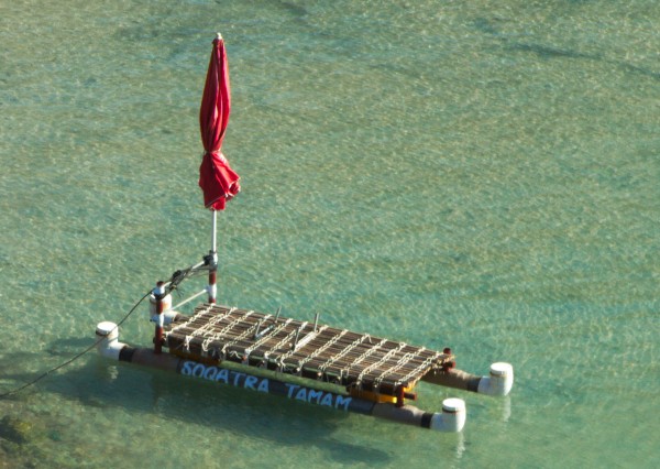 Junk rig sail on Socotra island