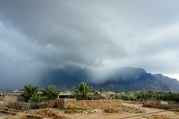 Socotra in May