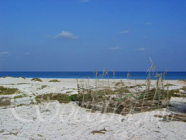 Socotra Picture of the Day: Beach in south part of Socotra