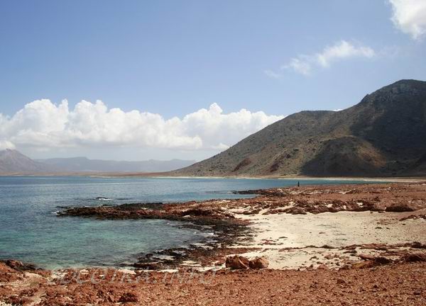 Socotra Picture of the Day: Di Hamri area