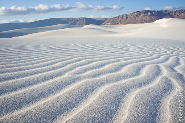 Socotra Picture of the Day: Sand dunes in Stero
