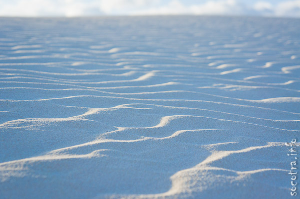 Socotra Picture of the Day: Early morning dunes in Stero