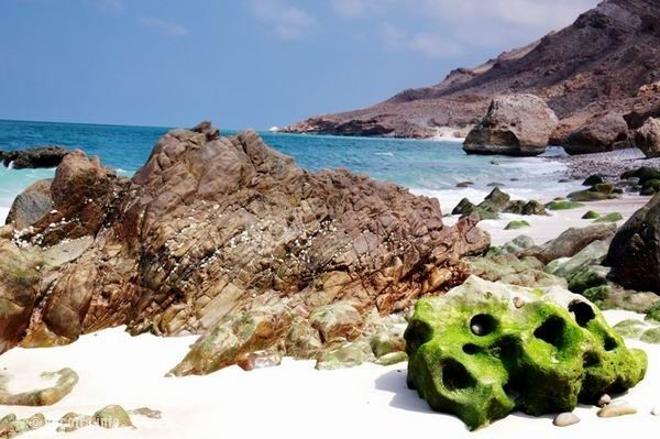 Socotra Picture of the Day: shoreline at Archer