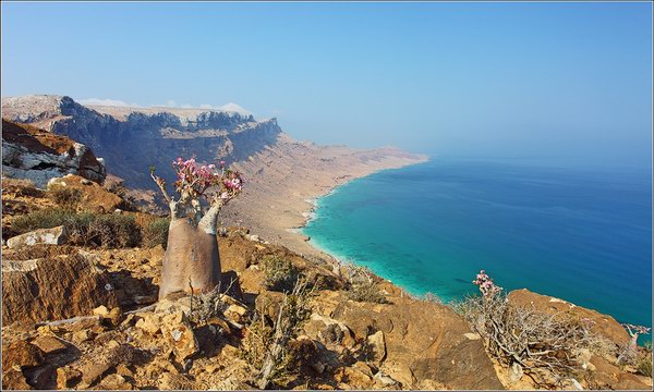 Socotra Picture of the Day: The eastern point of the Socotra