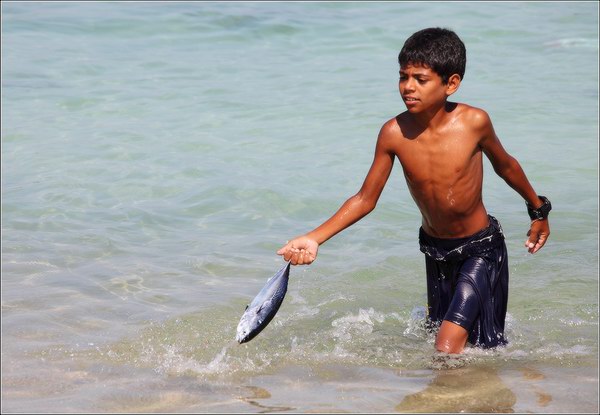 Socotra Picture of the Day: Easy fishing