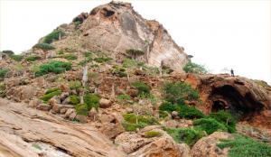 Russian archeologists on Socotra 