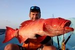 Professional fishing tours to Socotra archipelago
