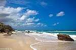 Wild beaches in Socotra
