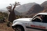Updating of "Standard Socotra tours" programs