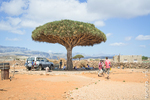 Socotra Picture of the Day: The village on the plateau Dixam