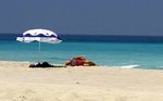  Basic tourist program on the island of Socotra