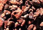Dragon's blood (Dracaena cinnabari) - a unique resin from Socotra