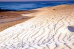 Socotra Picture of the Day: Traces on sand