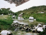 Socotra Picture of the Day: Frash water in Archer