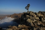 Socotra Picture of the Day: Sunrise at Skant