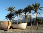 Socotra Picture of the Day: Hadibo