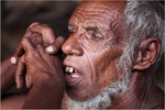 Socotra Picture of the Day: a hermit from the depths of Socotra