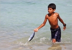 Socotra Picture of the Day: Easy fishing