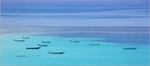 Socotra Picture of the Day: fishing boats