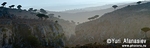 Socotra Picture of the Day: View of the plateau Dixam