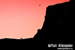 Socotra Picture of the Day: after sunset