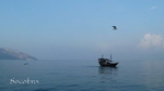 Socotra Picture of the Day: early sunrise at Shuab bay