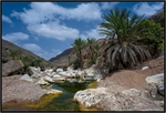 Socotra Picture of the Day: Wadi Kalesan