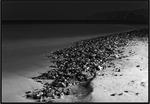 Socotra Picture of the Day: The western part of Shuab bay