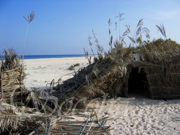 Socotra Picture of the Day: Reed hut on a sandy shore