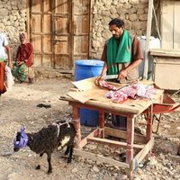 Коза на рынке в Хадибо