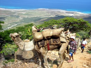 Trekking in Socotra