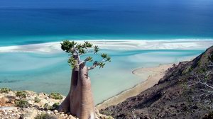 Detwah lagoon, Socotra island