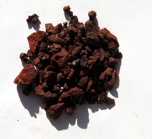 Dragon`s blood resin from Socotra island