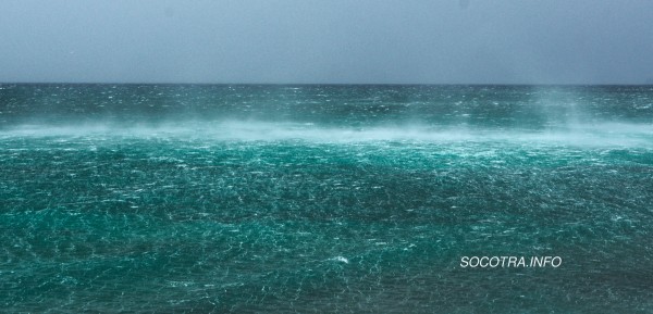 Socotra in summertime