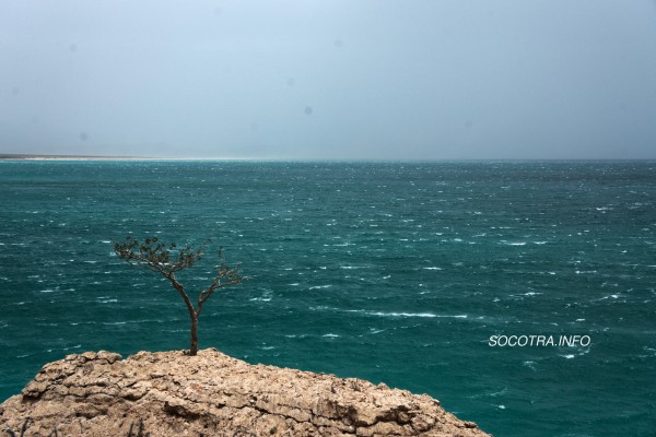 Socotra in summertime