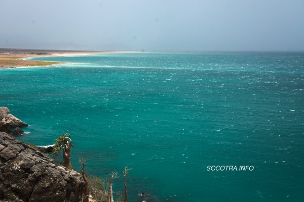 Socotra in summertime