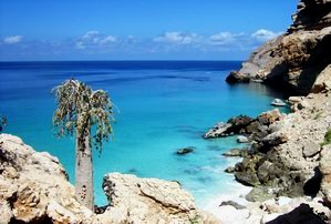 Shuab bay, Socotra island