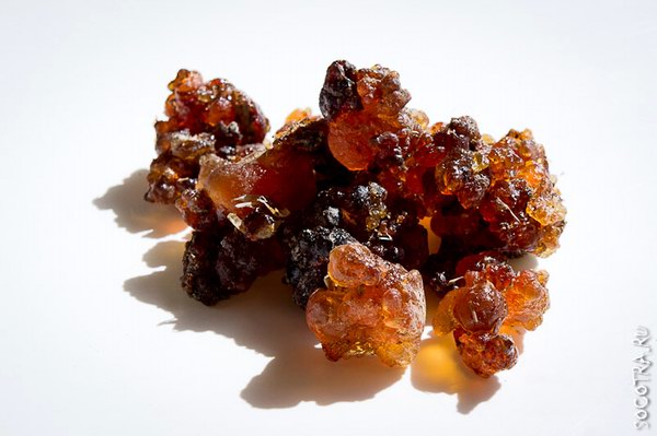 Kua Myrrh Essential Oil