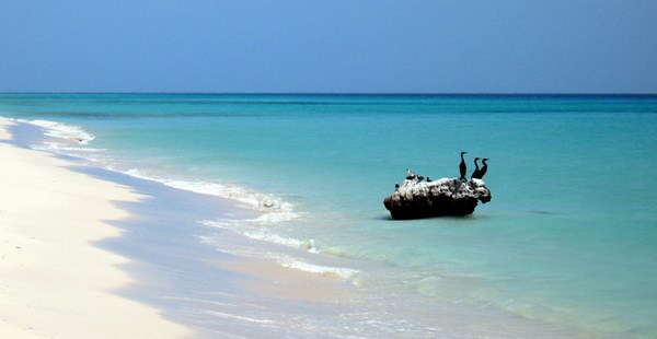 Socotra in summer time