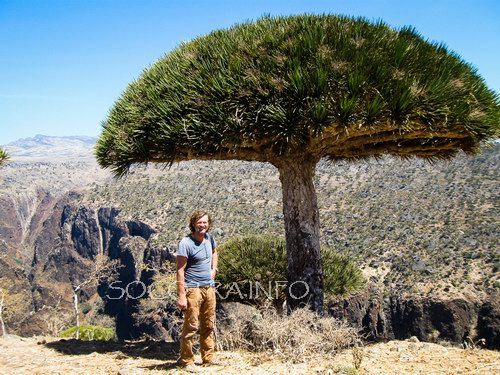 Sailing on Socotra